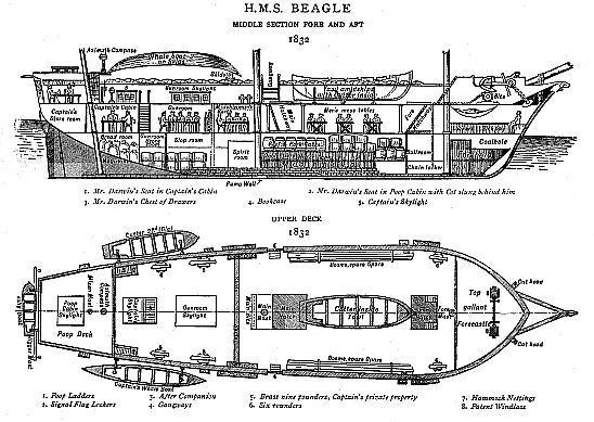 H.M.S. Beagle/Middle section, fore and aft, and upper deck, 1832