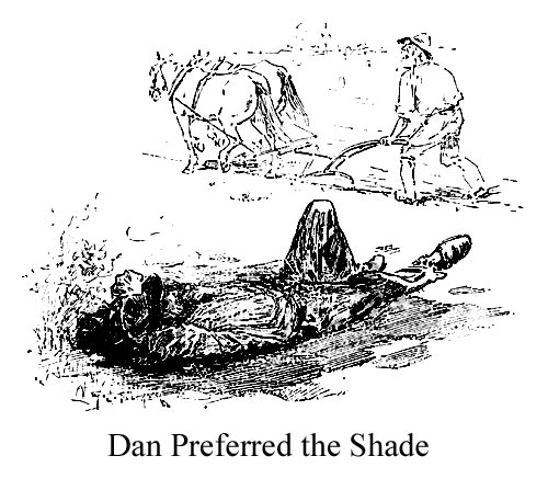 shade