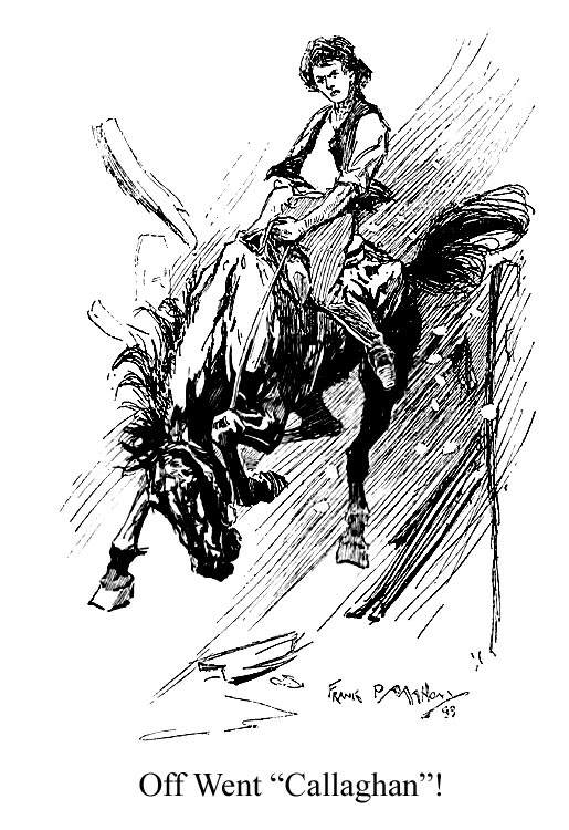 buck
