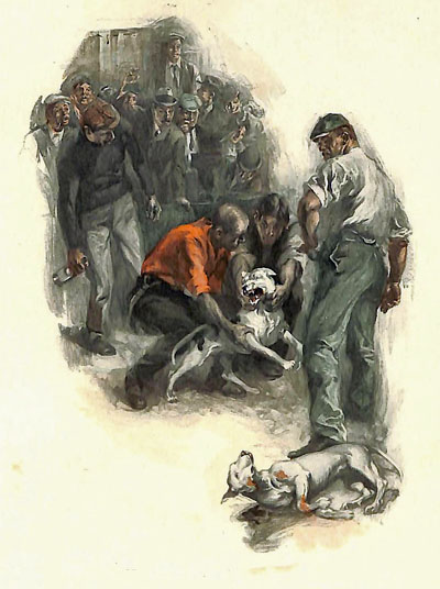 Illustration