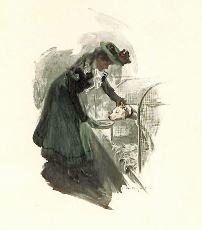 Illustration