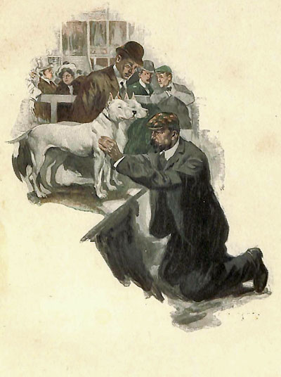 Illustration
