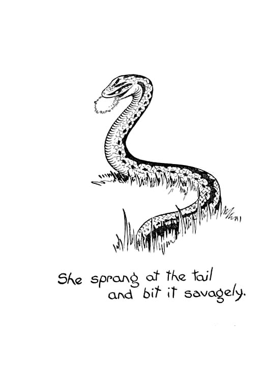 tail