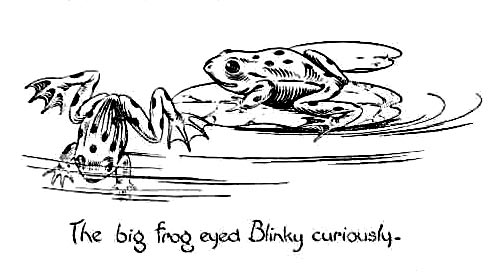 frog