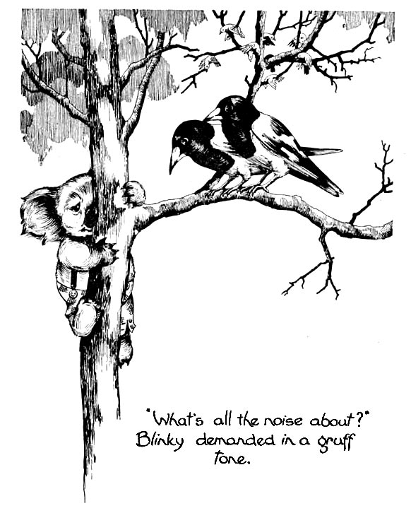 birds