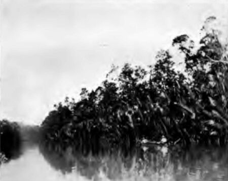 A Creek of the Irrawaddy River Delta, Bassein District