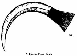 A Boar's Tusk Comb