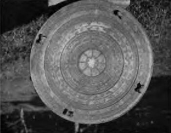Head of Mr. Crumb's Drum