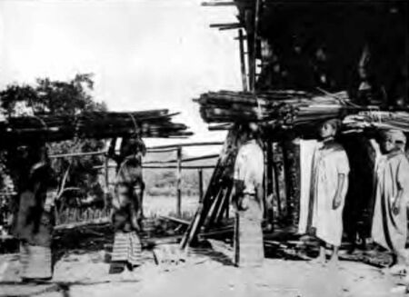 Young Women Bringing in Bamboo Fuel, Tharrawaddy Hills