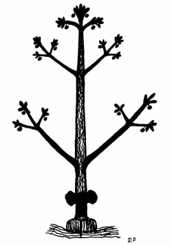 A Sketch of a Tree Used in the Funeral Games