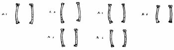 Chicken Bones Used in Divinations