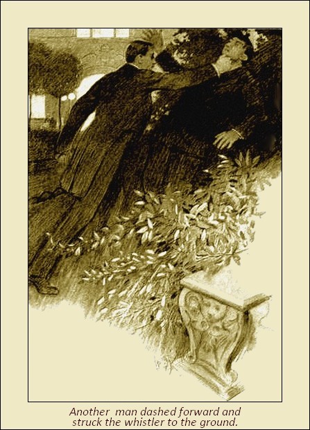 Illustration 5