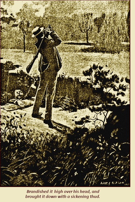 Illustration Illustration