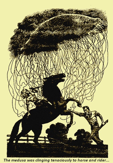 Illustration
