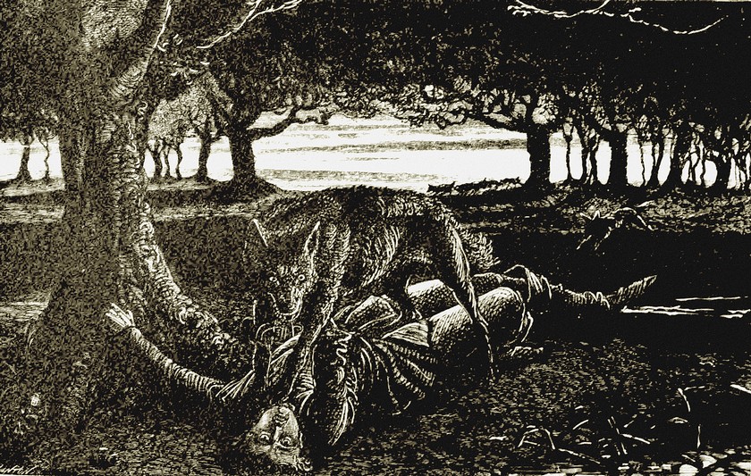 Illustration