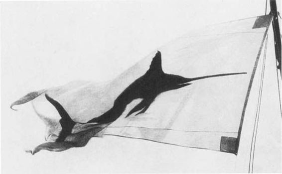 Illustration Illustration