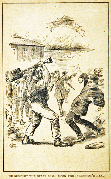 Illustration