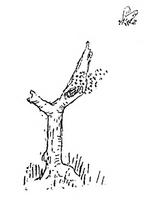 page04