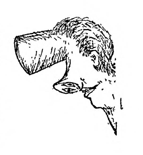 page13b