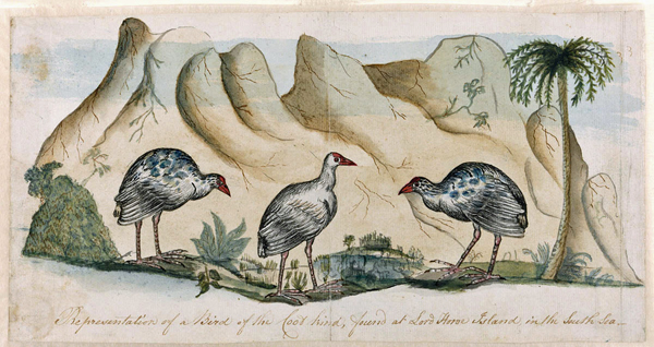 Illustration