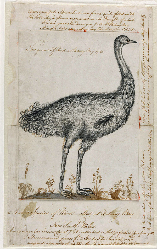 Illustration