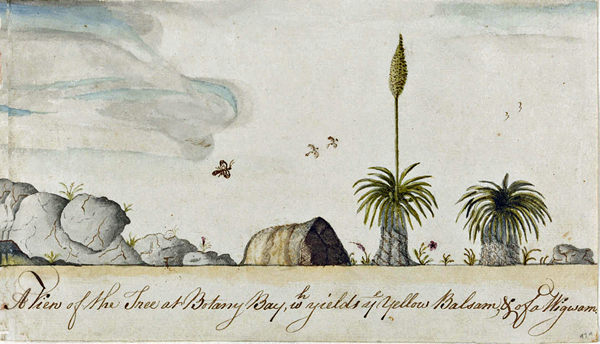 Illustration