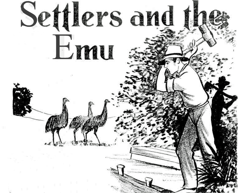Illustration