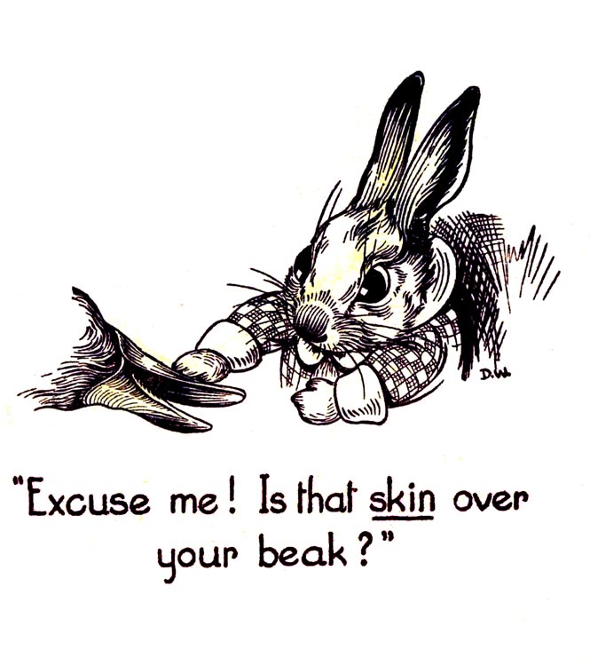 skin