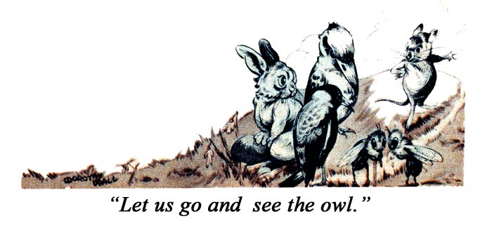 owl