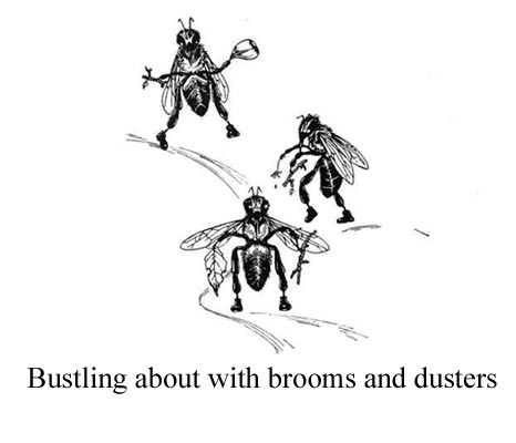 brooms
