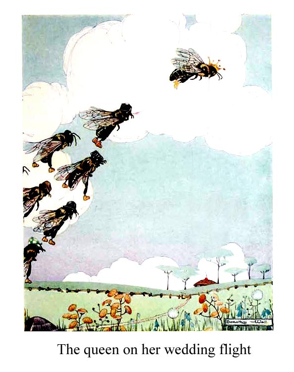 flying