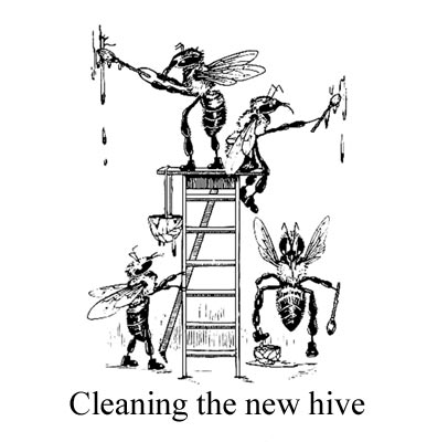 cleaning