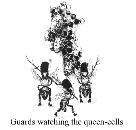guards