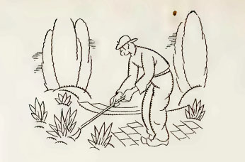 Illustration